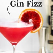 Bright red cocktail, text overlay reads "blood orange gin fizz."