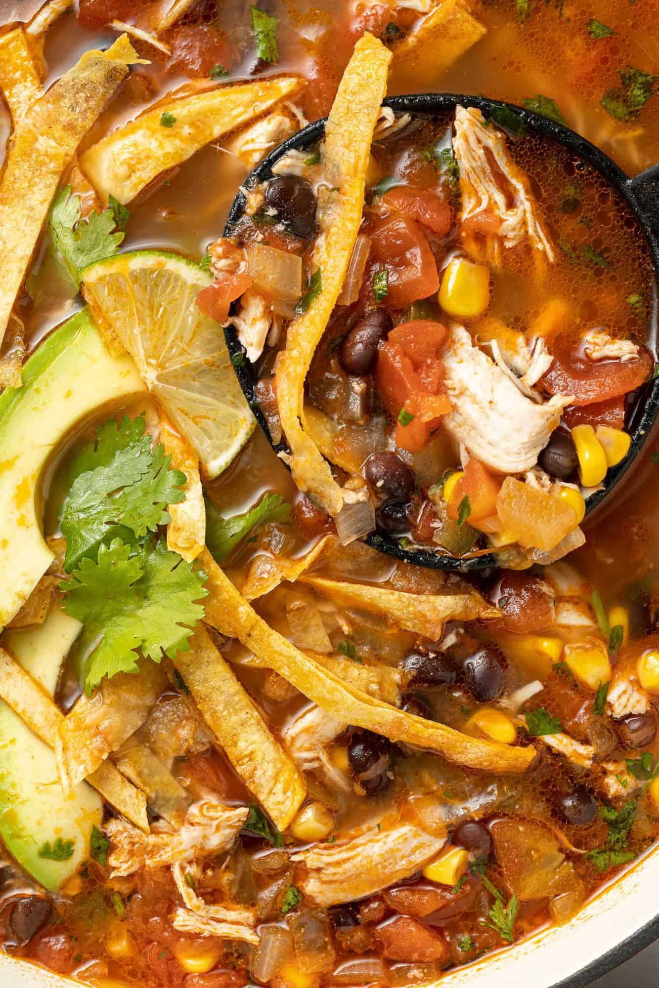 Very close up image of chicken tortilla soup.