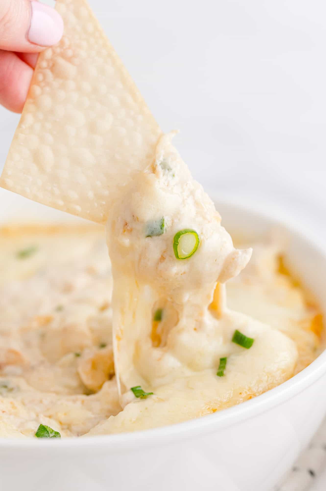 Crispy wonton being dipped into crab rangoon dip.