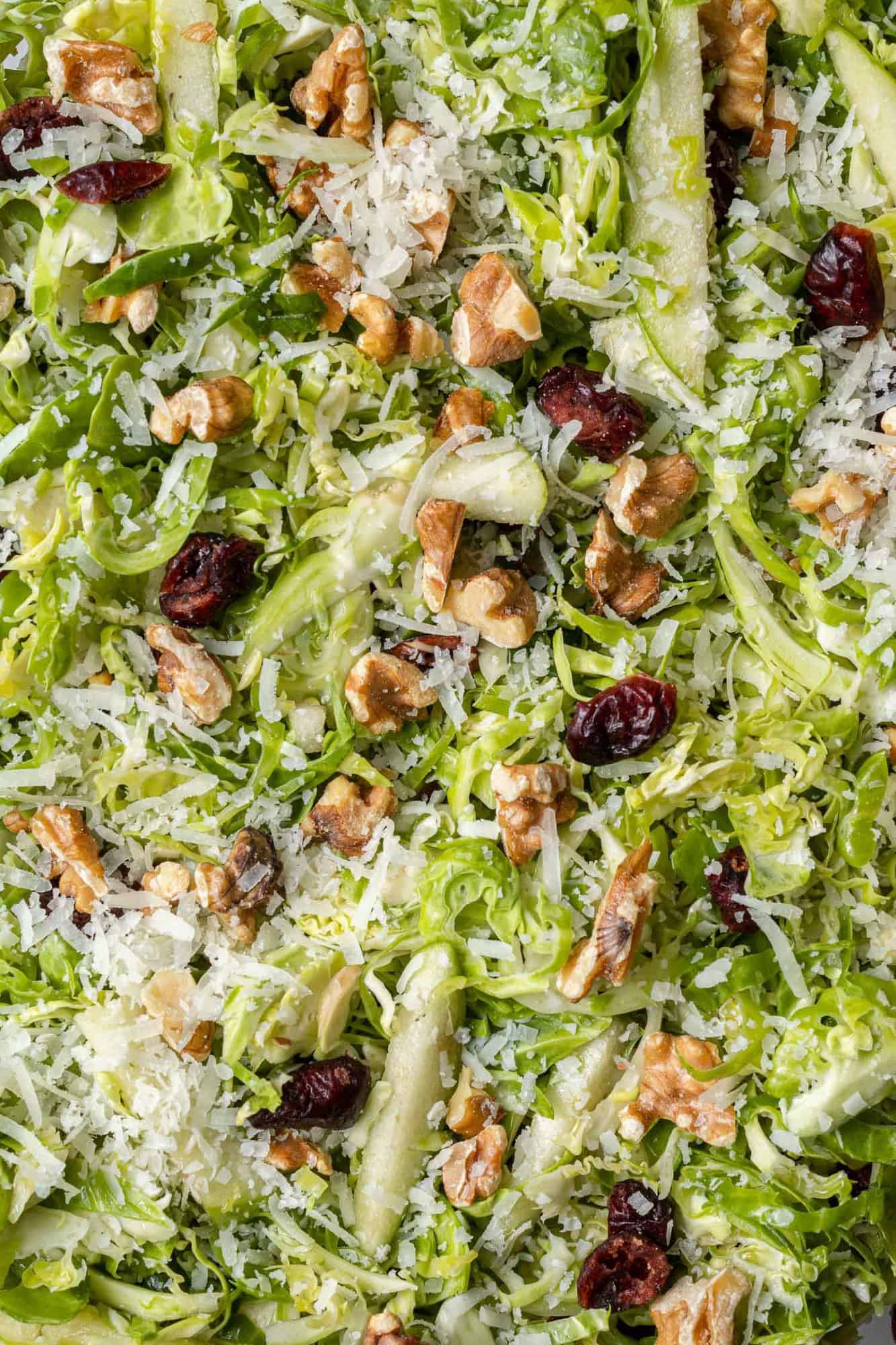 Close up of shredded  Brussels sprouts, walnuts, cranberries, and cheese.