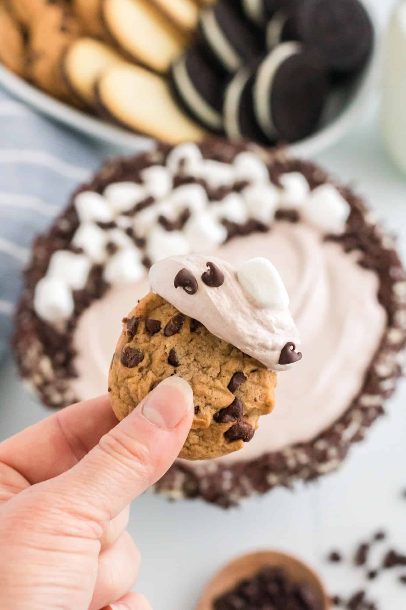 Chocolate chip cookie dipped in light brown fluffy dip.