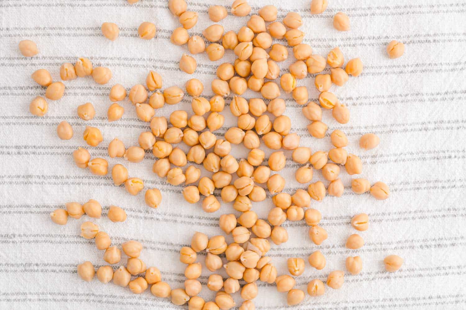 Garbanzo beans spread on a towel to dry.