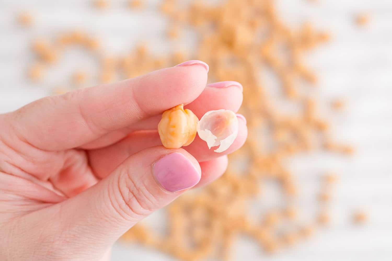 Close up view of a chickpea with skin removed.