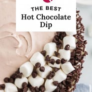 Light brown dip, text overlay reads "the best hot chocolate dip."