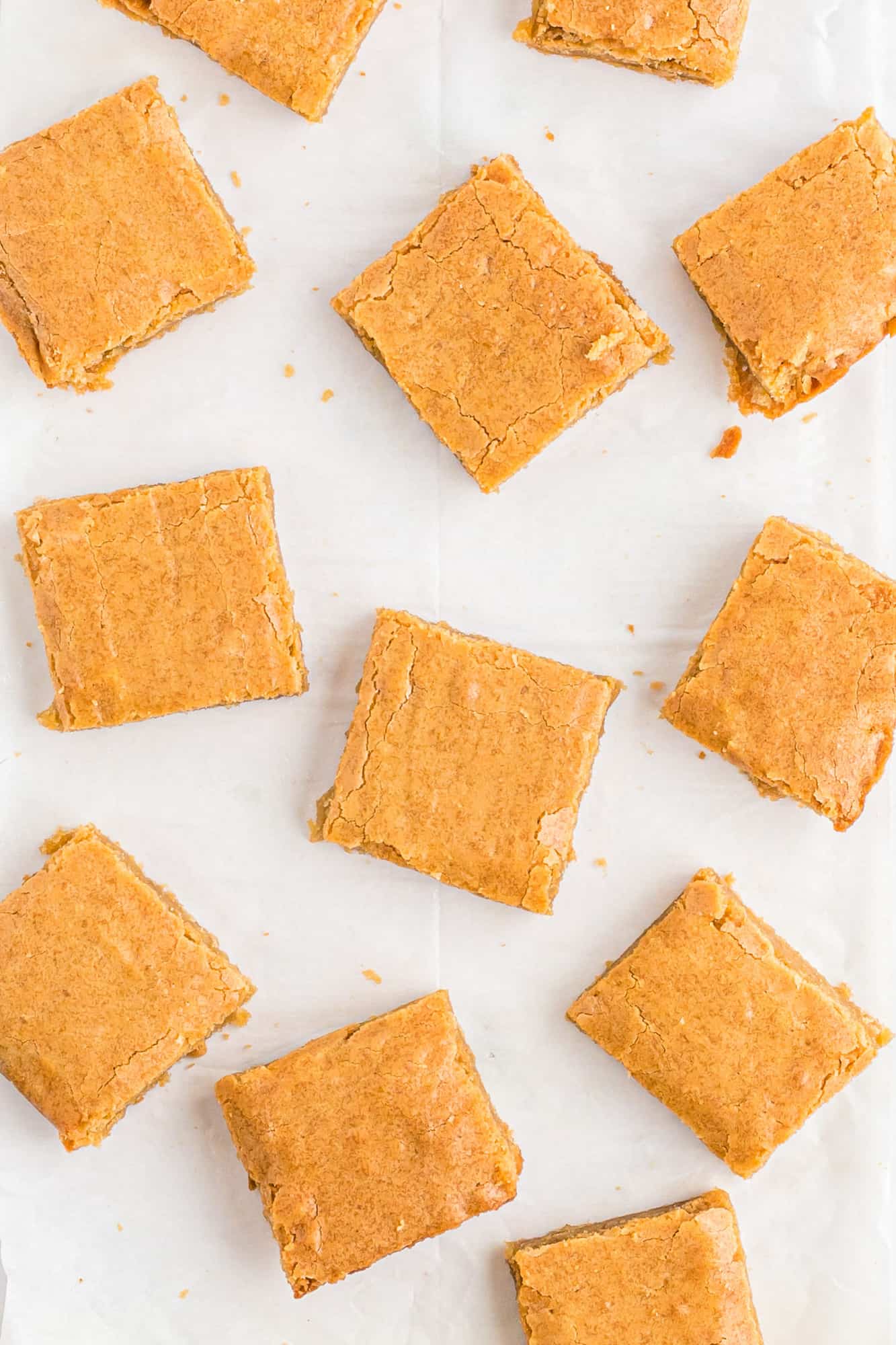 Overhead view of blondies on a white background.