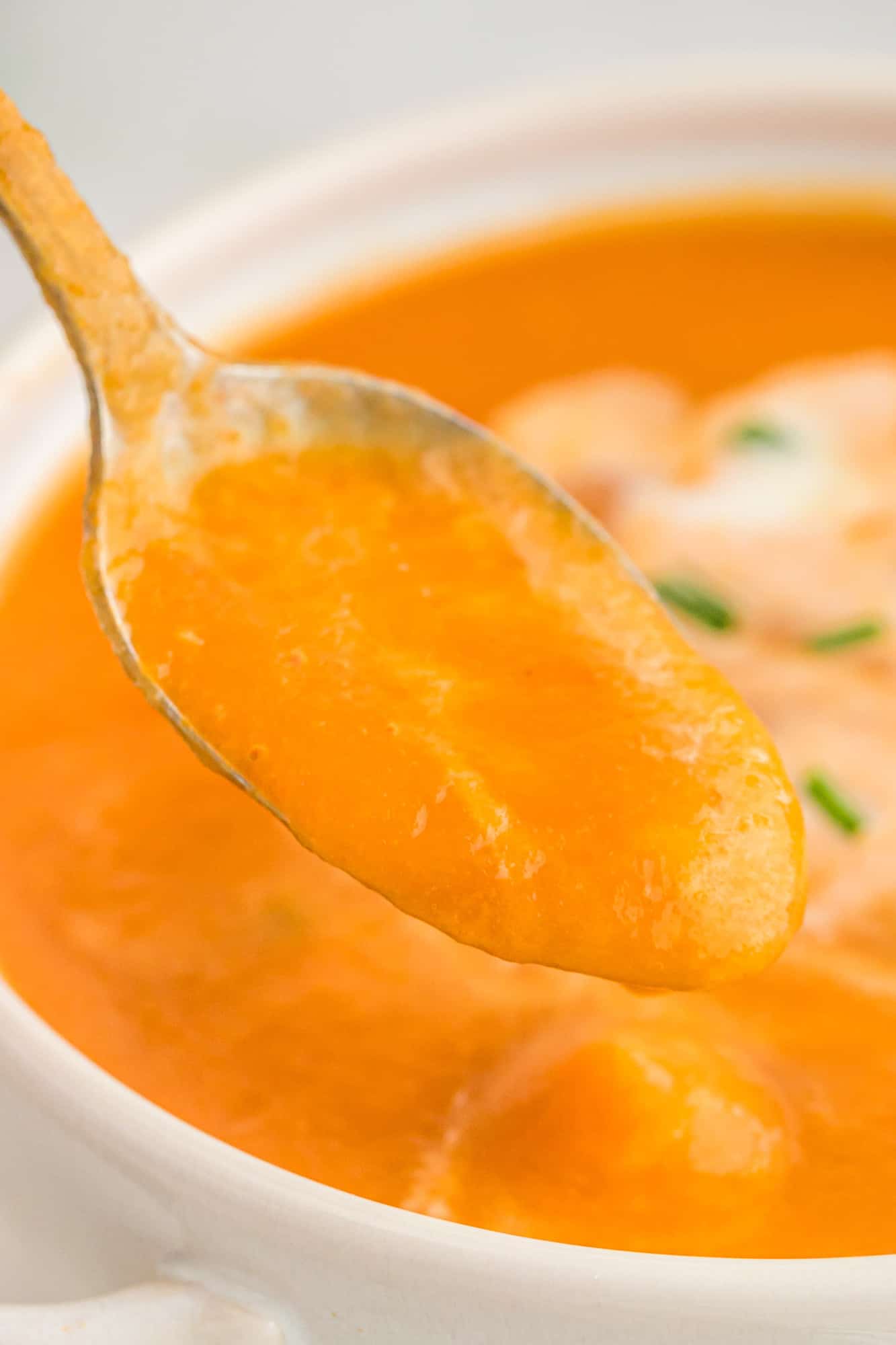 Soup on a spoon to show smooth texture.