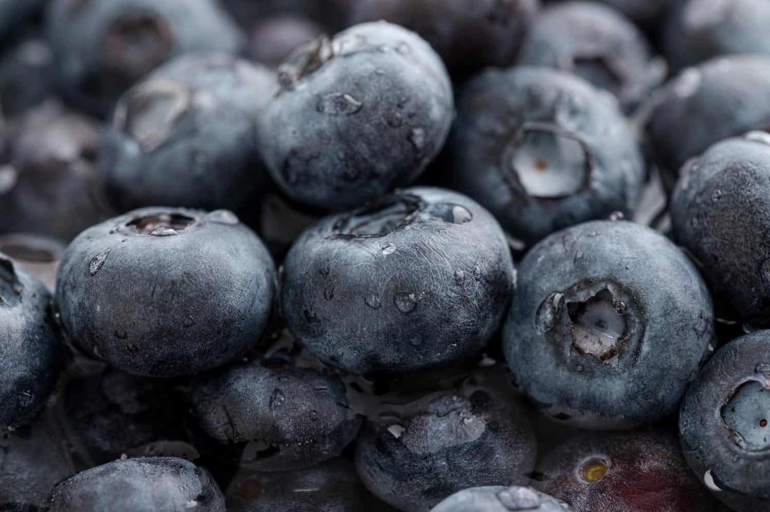 Close up view of fresh blueberries.