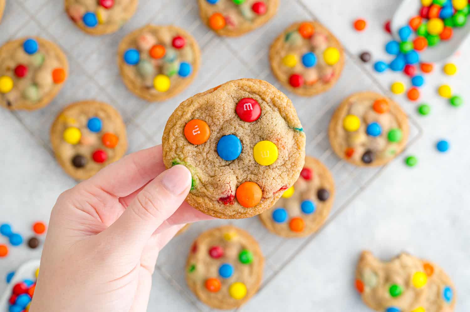 Cookie being held in a hand.