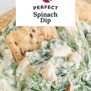 Dip with spinach, text overlay reads "perfect spinach dip."