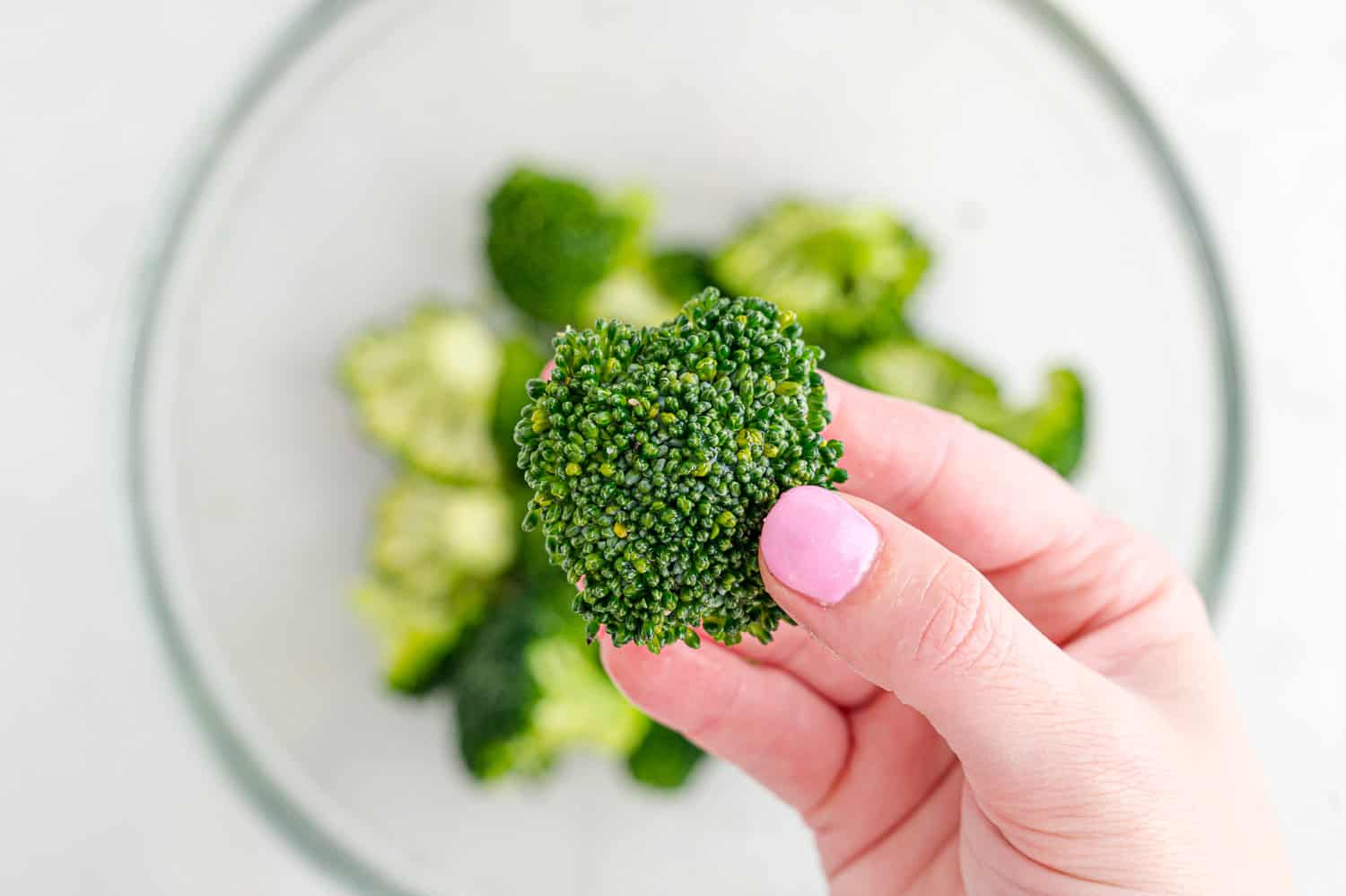 Broccoli floret held in a hand.