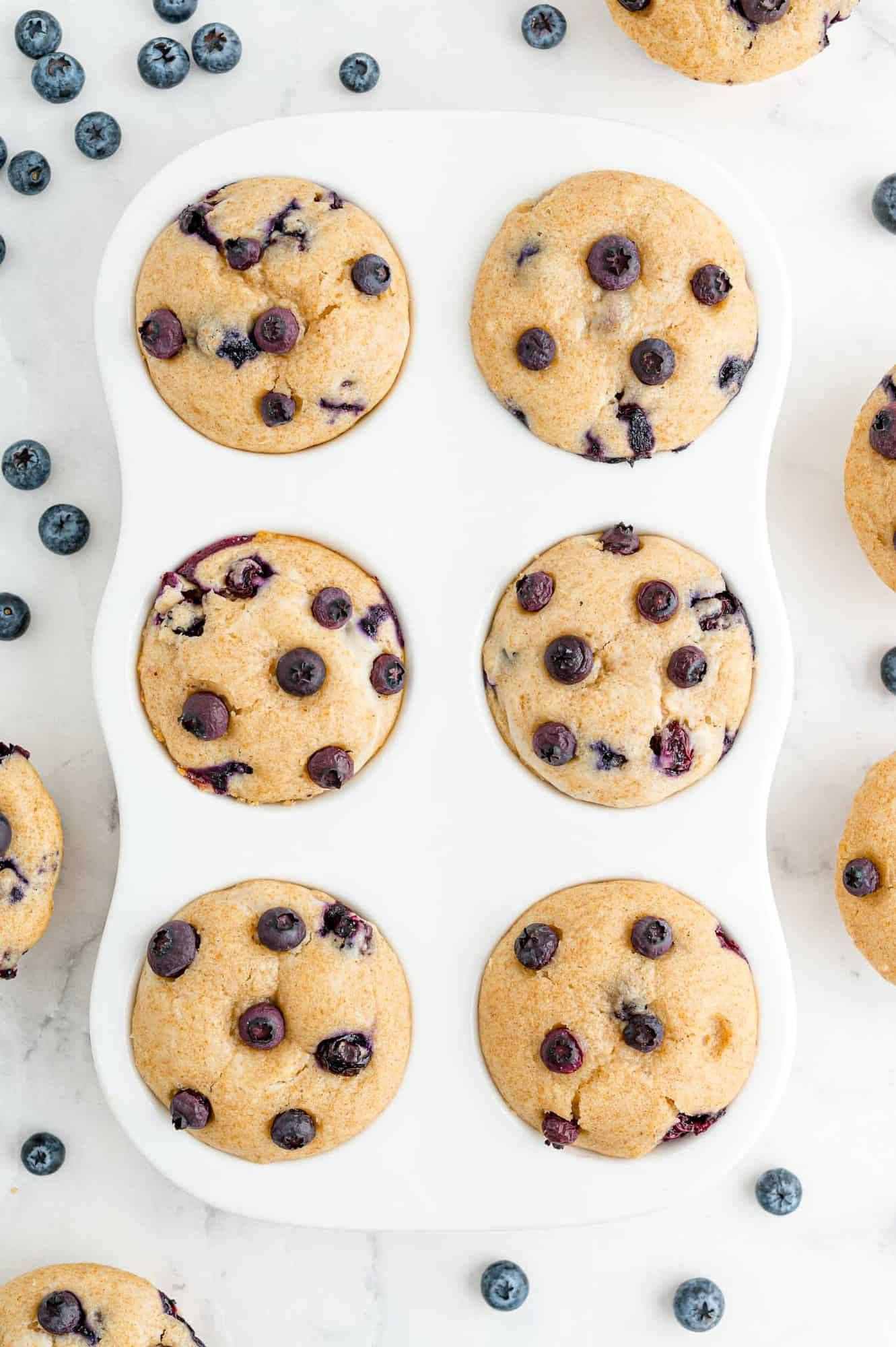 Blueberry muffins in muffin tin.