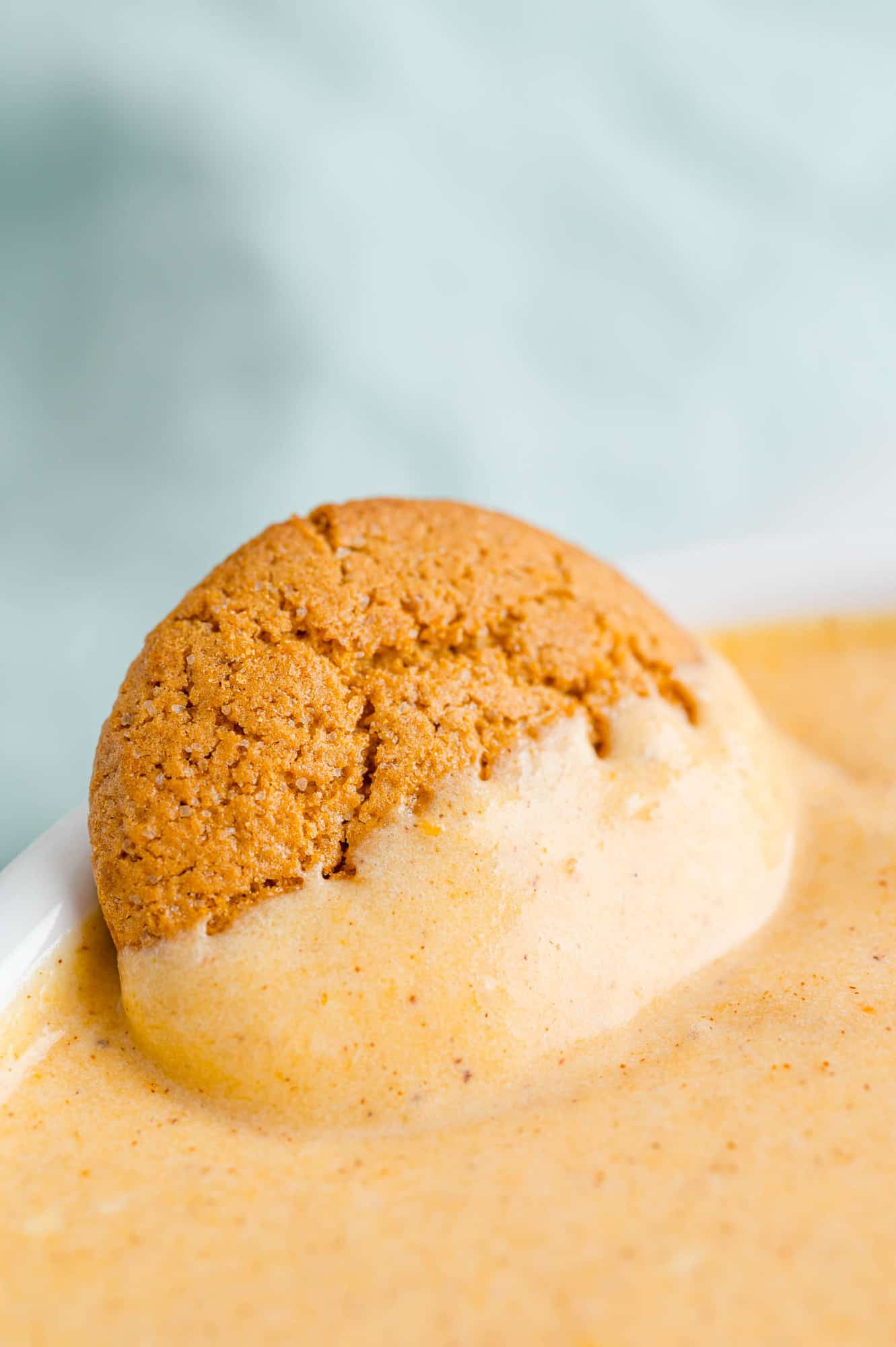 Gingersnap on the edge of a bowl of pumpkin dip.