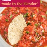 Salsa, text overlay reads "restaurant style salsa - made in the blender!"