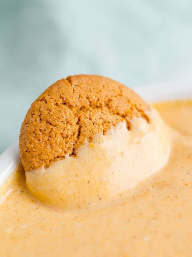 Gingersnap on the edge of a bowl of pumpkin dip.