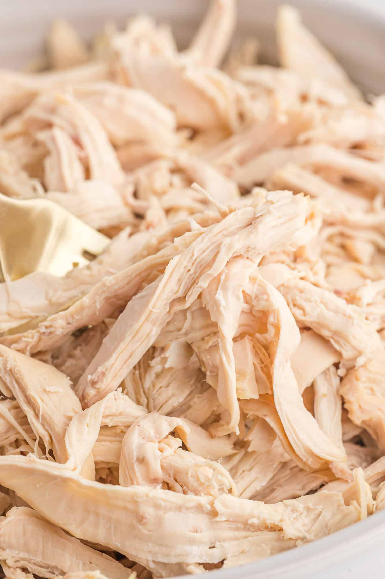 Close up of shredded white meat chicken.