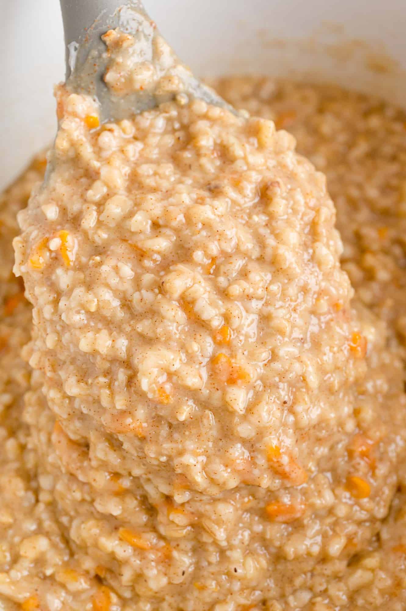 Carrot cake oatmeal on ladle to show texture.