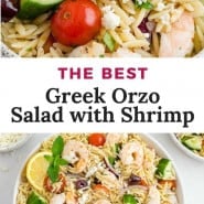 Pasta salad, text overlay reads "the best greek orzo salad with shrimp."