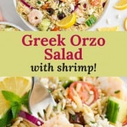 Pasta salad, text overlay reads "greek orzo salad with shrimp."