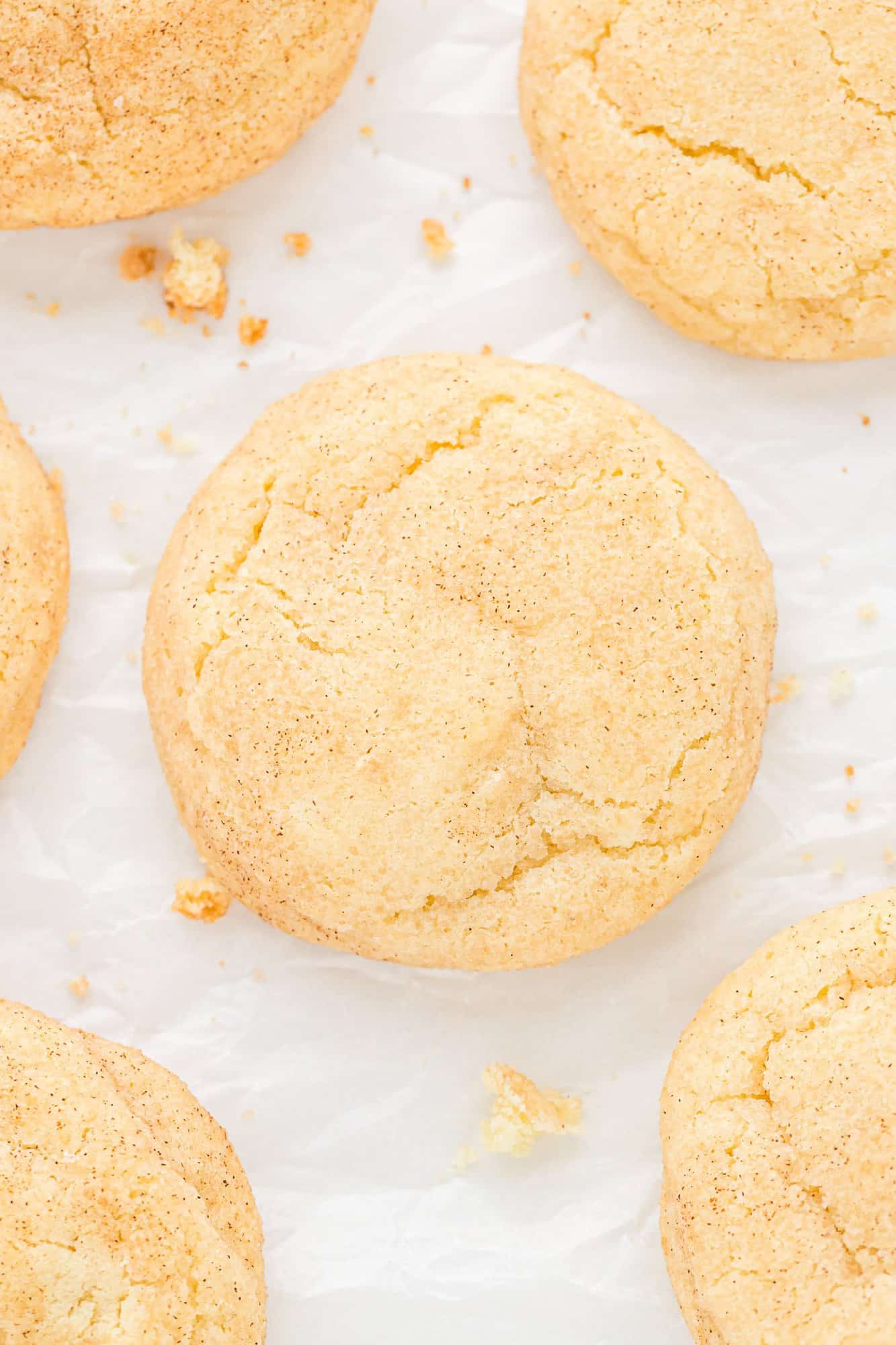 Overhead view of a snickerdoodle cookie.