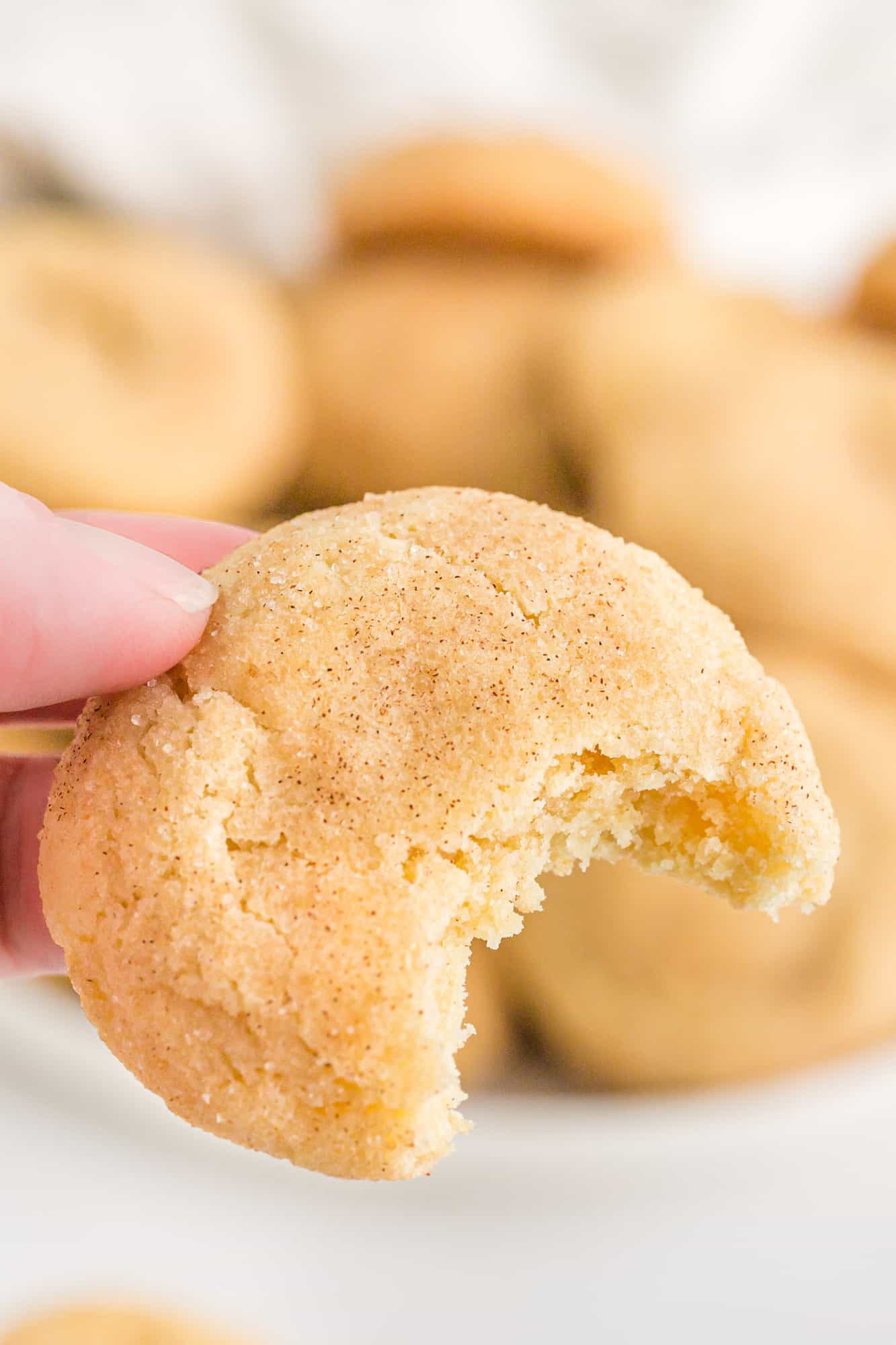 Snickerdoodle cookie held in a hand.