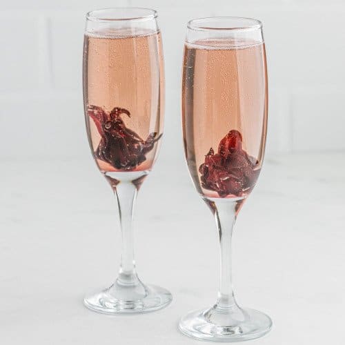 Two hibiscus mimosas against a white background.