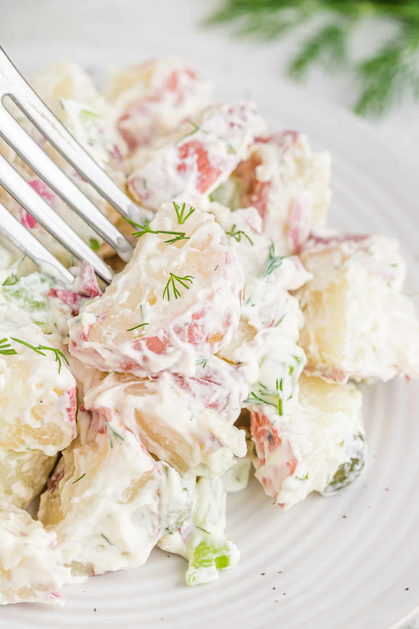 Potato salad on a plate with a fork.