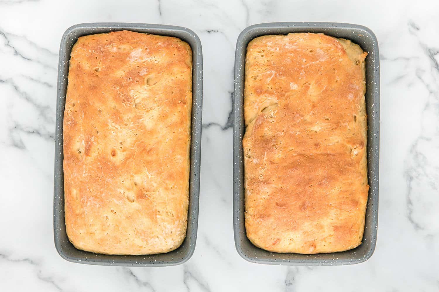 Two loaves of whole wheat bread still in pan.