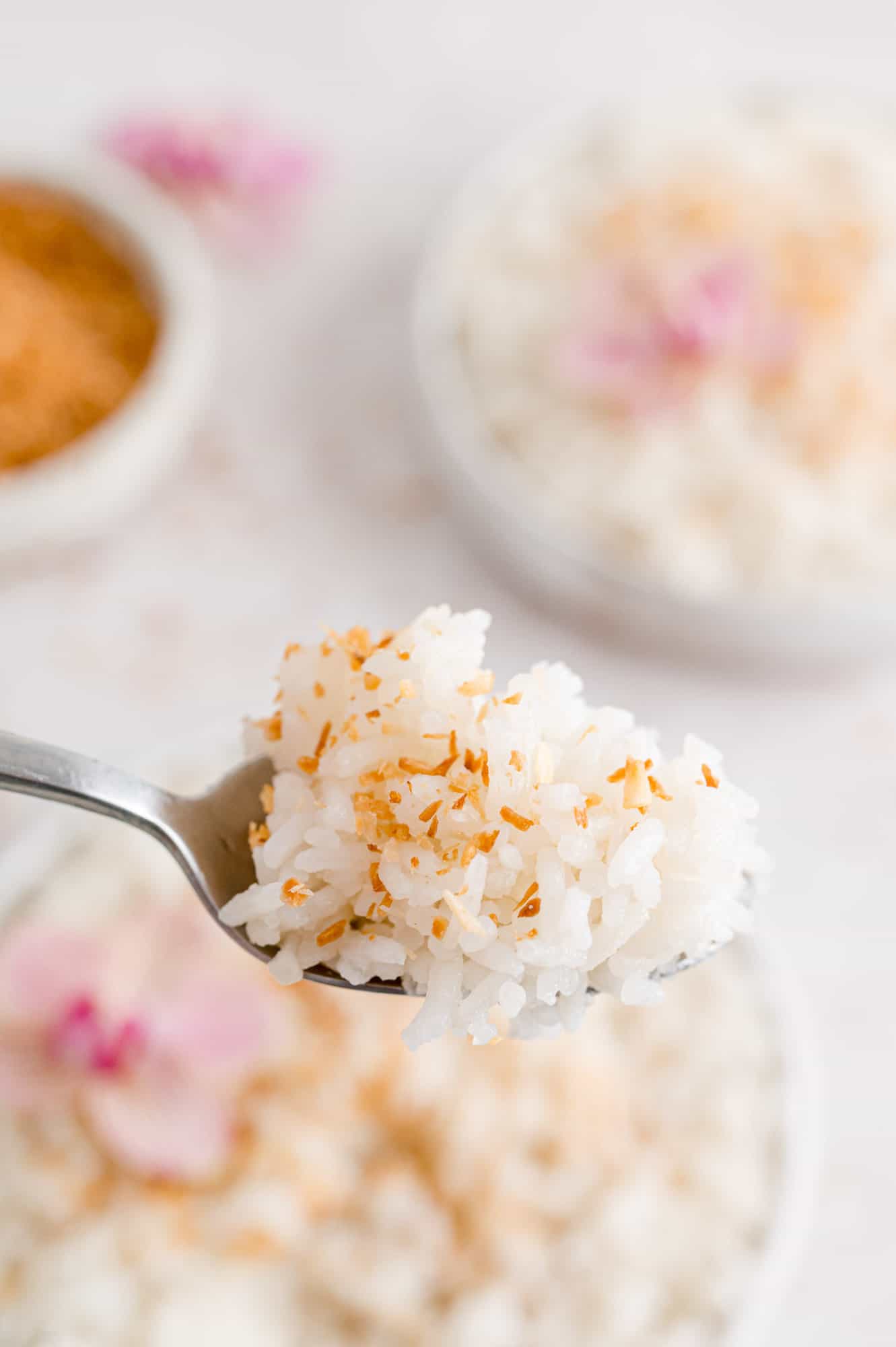 Coconut rice on a spoon.