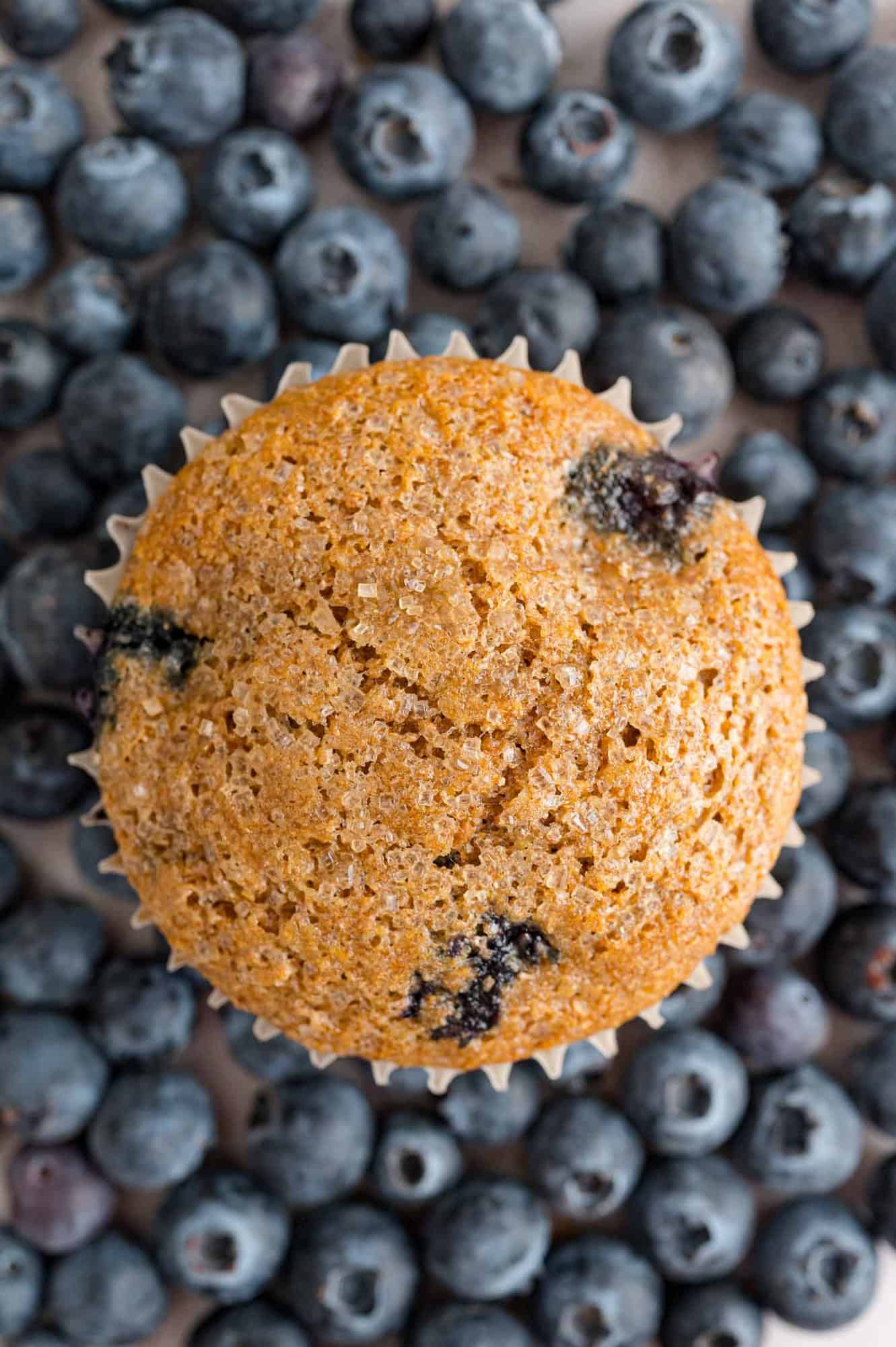 Bran muffin on top of a background of blueberries.