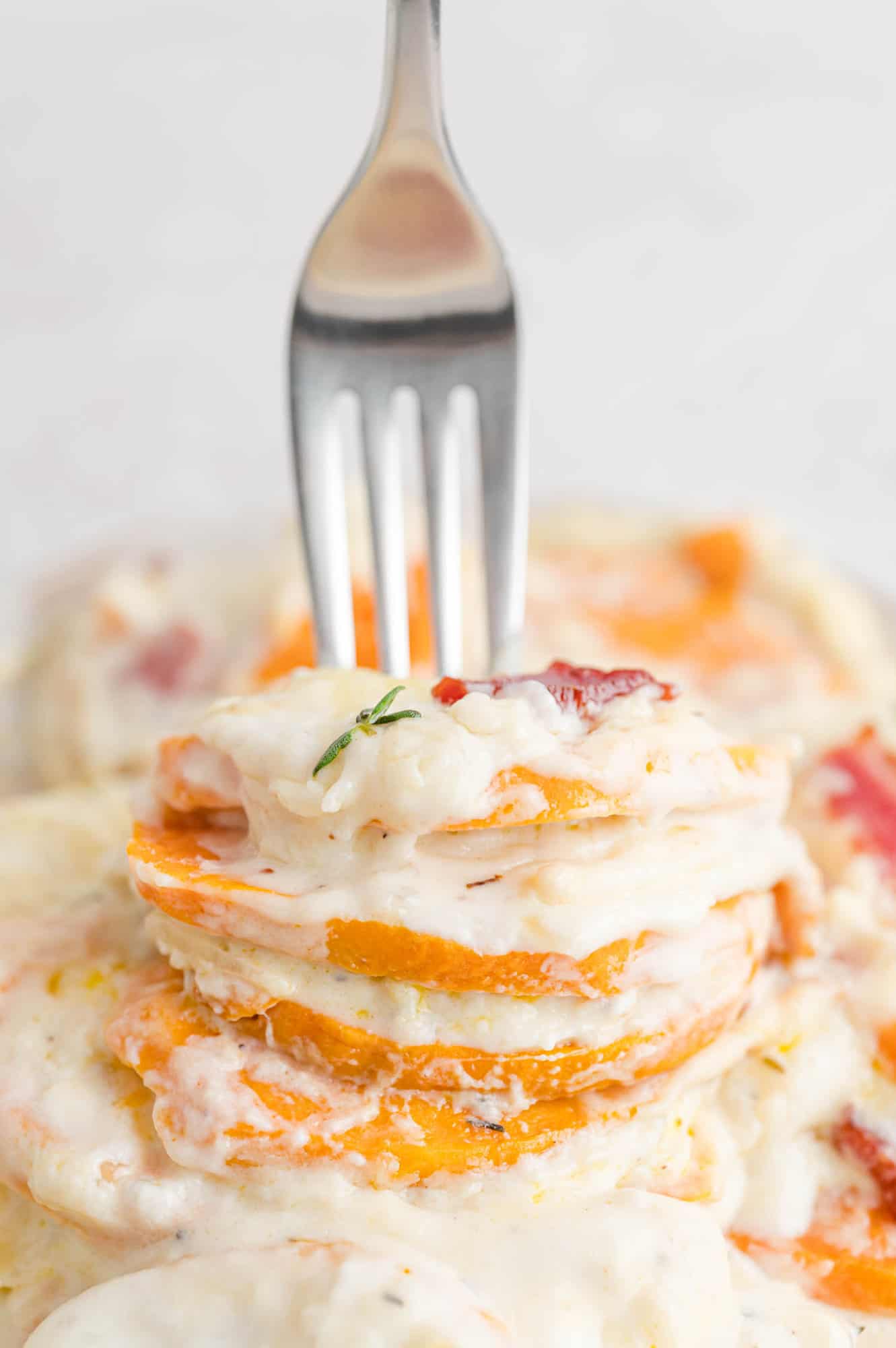 Sweet potato slices stacked on a fork.