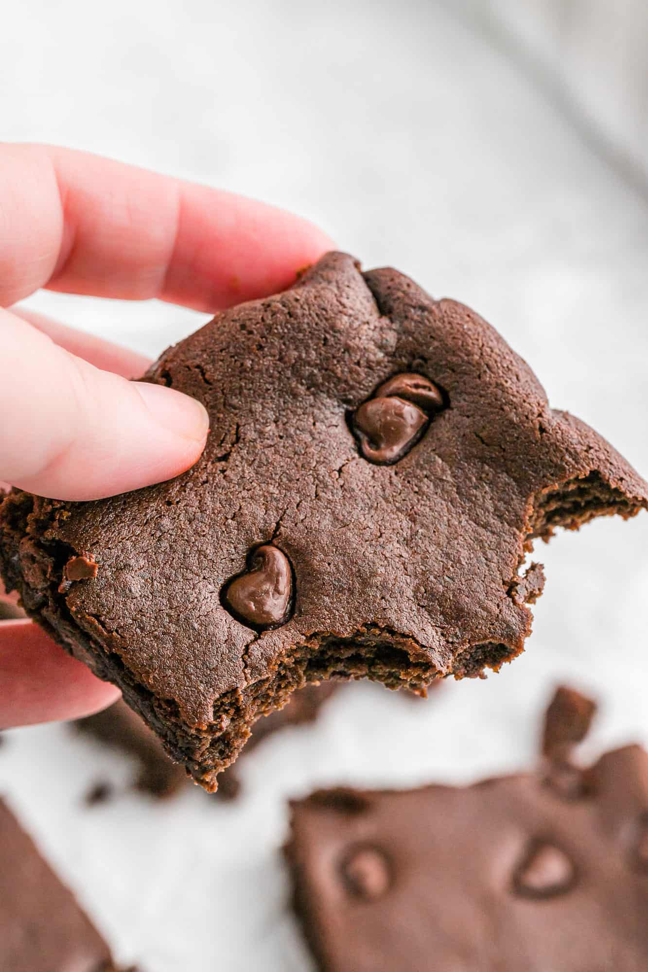 Brownie held in a hand.