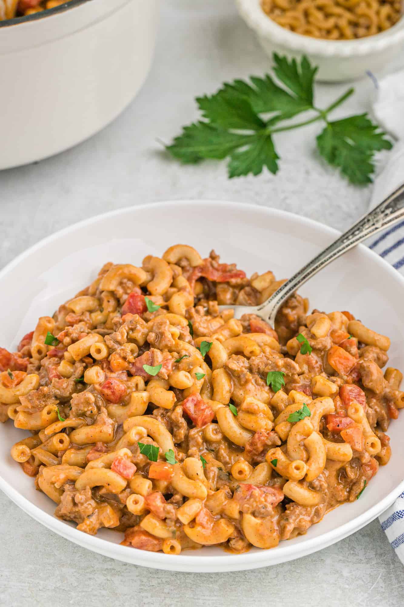 Hamburger macaroni in a white bowl.