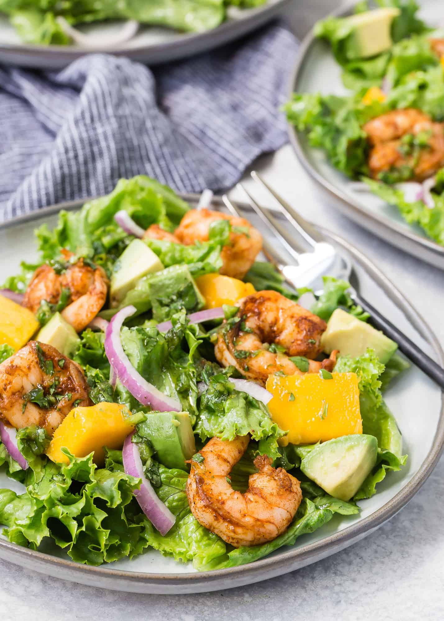 A grey plate on a light grey background. Plate is filled with green leaf lettuce, shrimp, red onion, mango, and avocado.