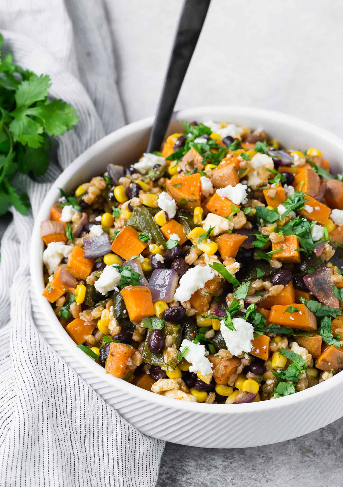 Colorful southwestern farro salad in a white bowl with a black spoon. A bunch of fresh cilantro is also pictured.