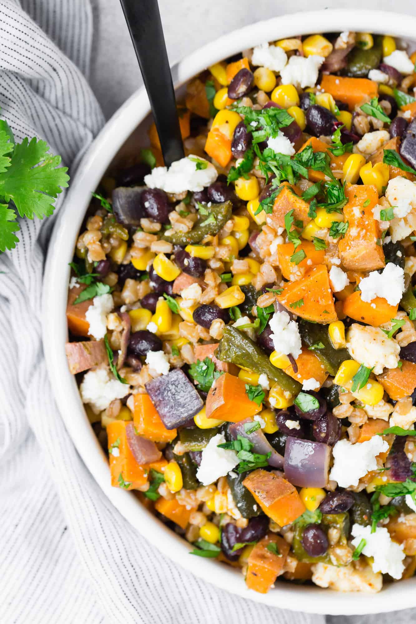 Colorful farro salad in a white bowl. Ingredients included are farro, roasted sweet potatoes, roasted poblano peppers, roasted red onion, cilantro, and queso fresco cheese.