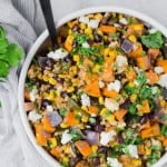 Southwestern farro salad with sweet potatoes and poblanos.