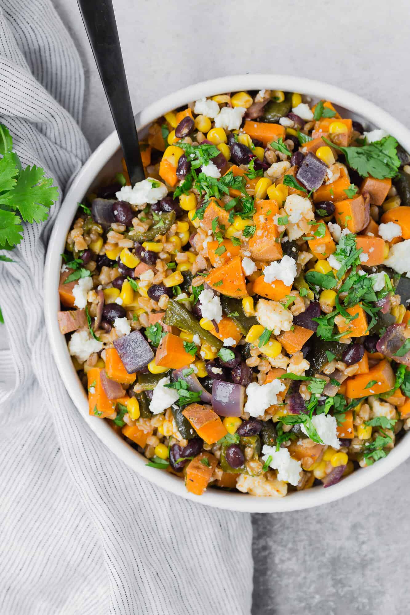 Farro salad made with poblano peppers, roasted sweet potatoes and onions, queso fresco, black beans and corn.