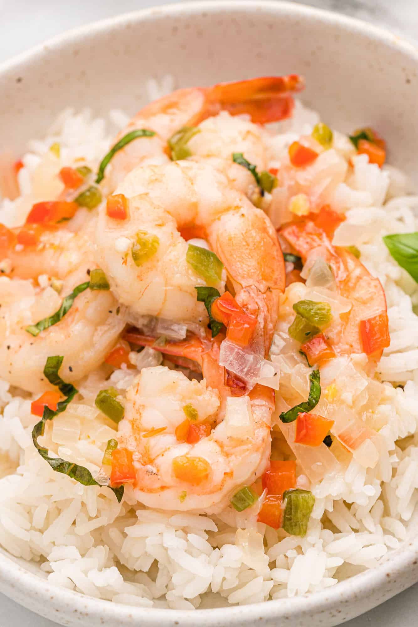 Close up of creamy coconut shrimp on rice.