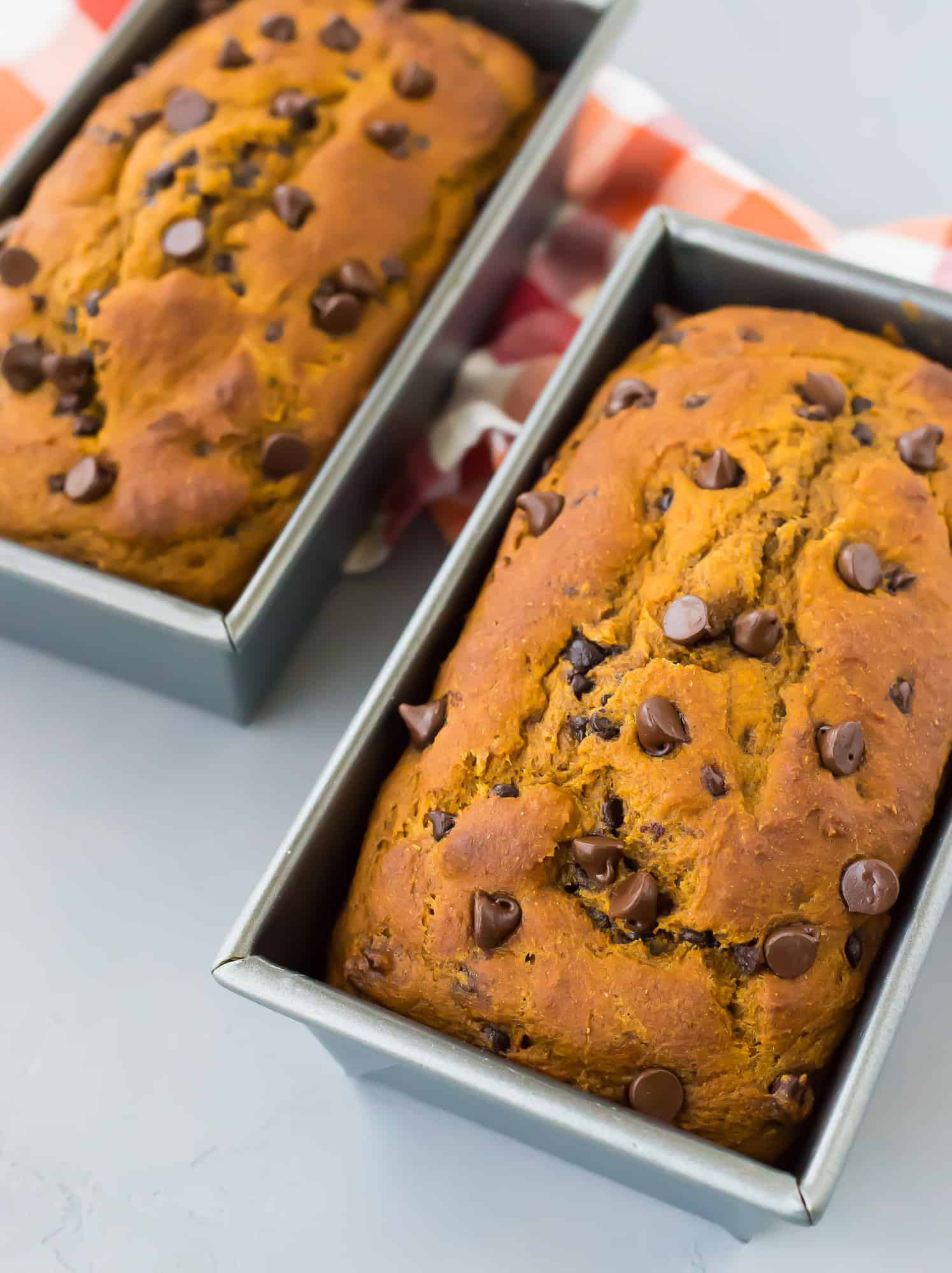 Two pumpkin chocolate chip bread loaves in loaf pans.
