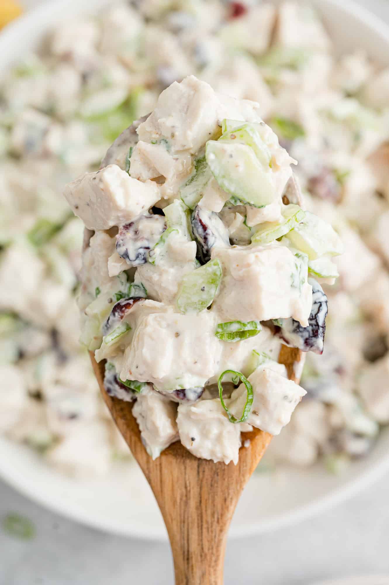 Turkey salad on a large spoon.