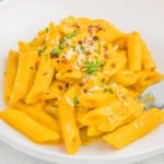 Bright orange carrot pasta sauce on penne.