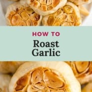 Garlic, text overlay reads "how to roast garlic."