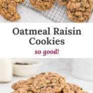 Cookies, text overlay reads "oatmeal raisin cookies - so good!"