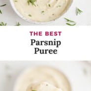 White puree, text overlay reads "the best parsnip puree."