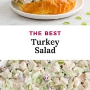 Sandwich, text overlay reads "the best turkey salad."