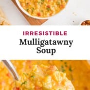 Soup, text overlay reads "irresistible mulligatawny soup."