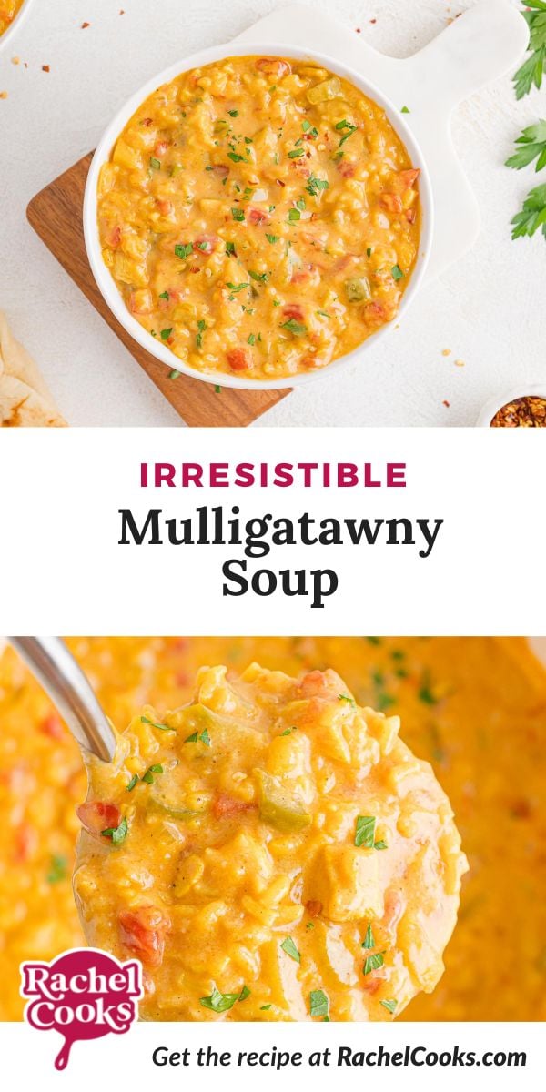 Soup, text overlay reads "irresistible mulligatawny soup."