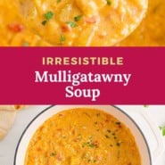 Soup, text overlay reads "irresistible mulligatawny soup."