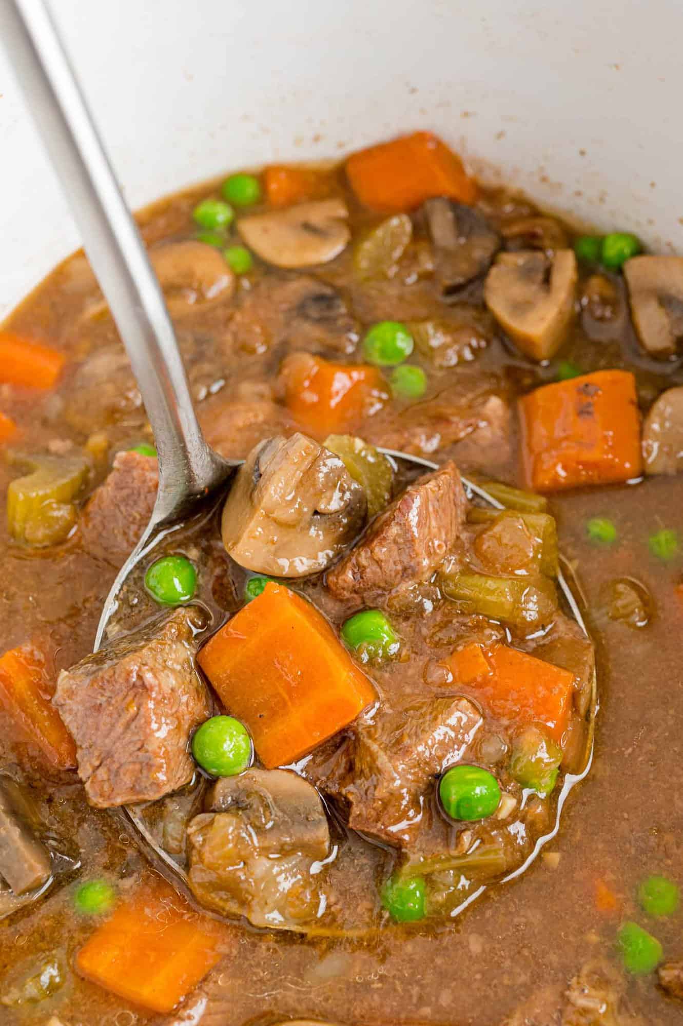 Beef stew in a slow cooker and on a ladle.