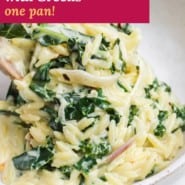 Orzo, text overlay reads "creamy lemon orzo with greens - one pan!"